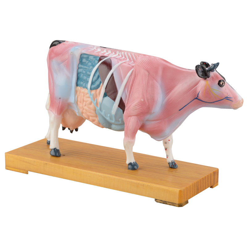 Cattle Acupuncture Model CMB-901D